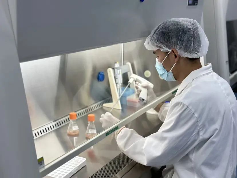 1732172333935861.jpg 1732172333935861.jpg