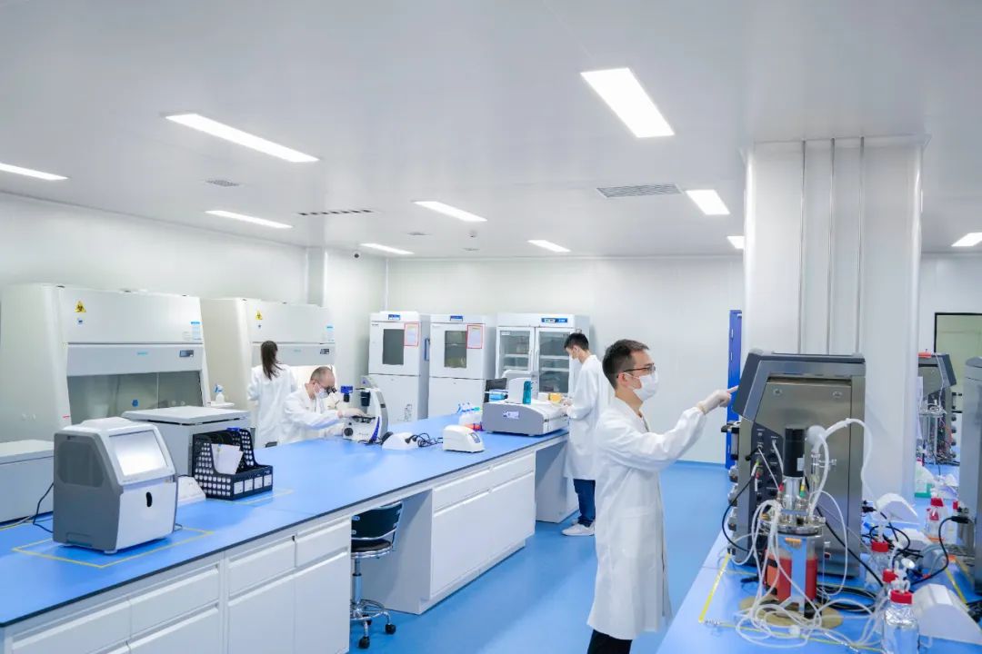 1732172471526736.jpg 1732172471526736.jpg